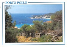 2A-PORTO CHICKEN-N?T2655-B/0163