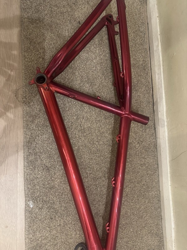 Dartmoor hornet frame