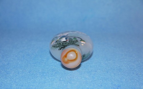 Snuff Bottle vetro con vetro posteriore dipinto bottiglia tabacco da fiuto Cina uccelli - Foto 8 di 15