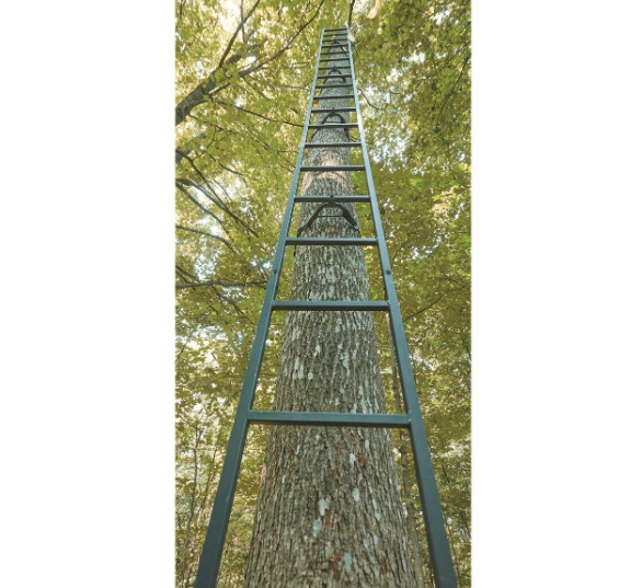 20-Foot Climbing Tree Stand Ladder - 5-Section Steel Stick For Deer Hunting