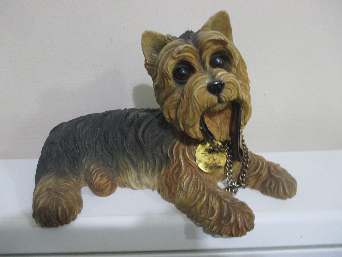 Yorkshire Terrier Large Heavy Kind Of Terrier Big Yorkie Breed - Main Image