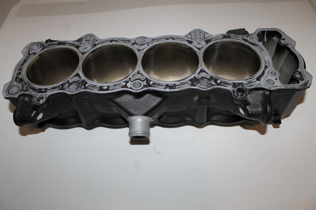 2017 - 2019 Kawasaki Ninja 1000 ZX1000 Engine Cylinder Jug Barrel