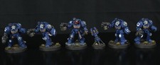 Warhammer 40k Space Marines TERMINTOR SQUAD - **PAINT COMMISSION**