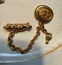 Jesera Lion And Bar Pin