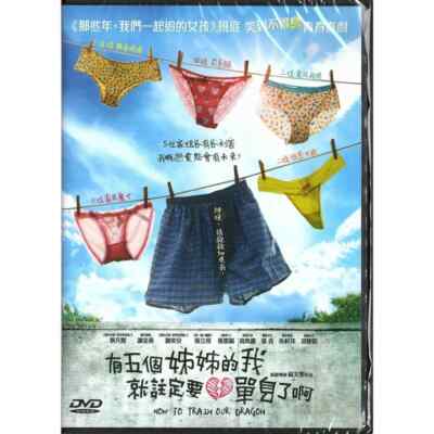 Kent Tsai HOW TO TRAIN OUR DRAGON Chloe Xiang Taiwan 2018 Comedy Region 3 DVD