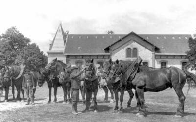 Beauce Departure To The Fields About 1900 France Old Photo