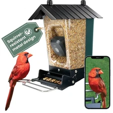 Smart Bird Feeder with Camera - Squirrel-Resistant, 3.5 lb Capacity, Motion A...