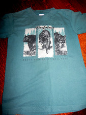 Vintage Children's T Shirt Green Size 10-12 Mount Rainier National Park