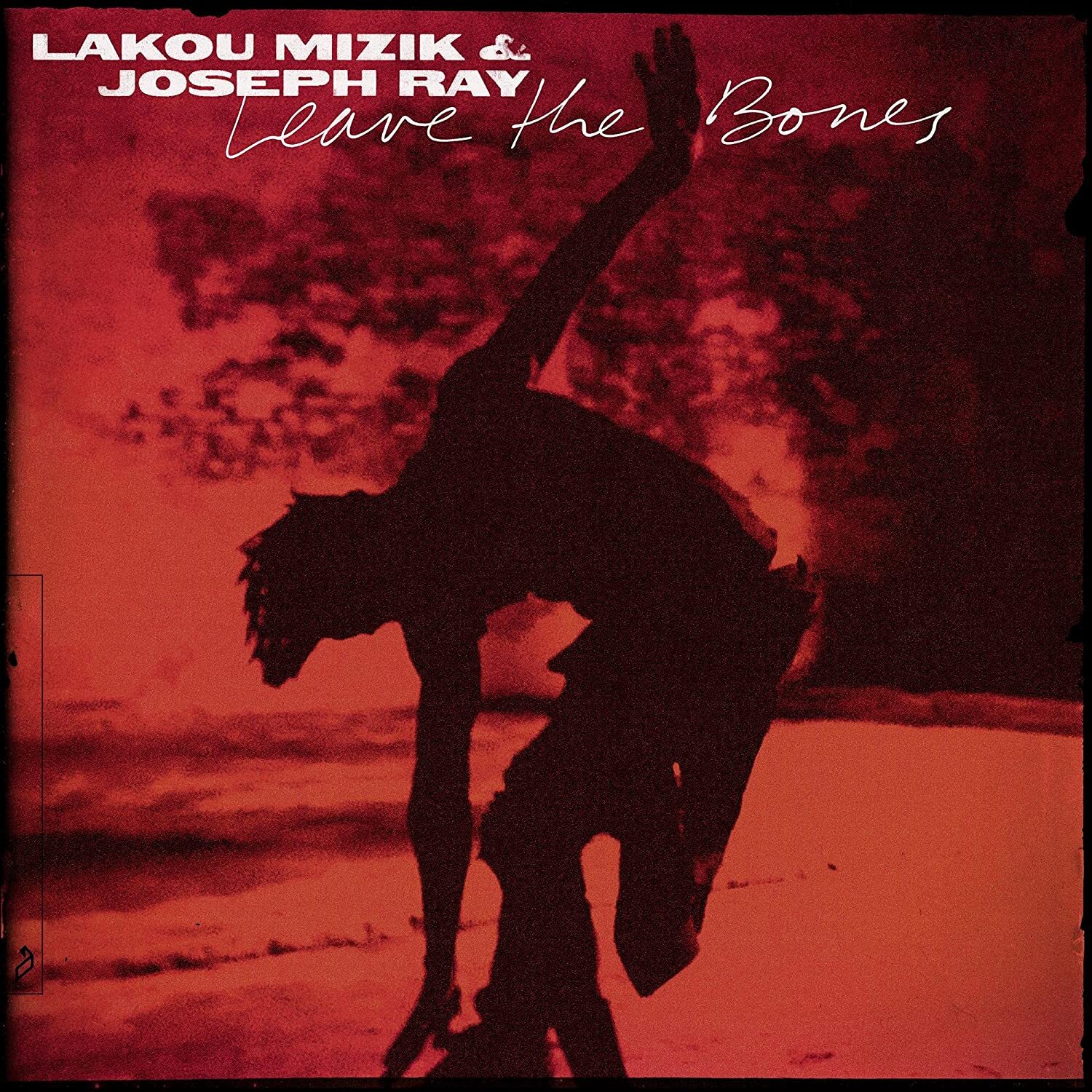 Mizik Lakou & Ray Joseph - Leave The Bones - 2 Vinili
