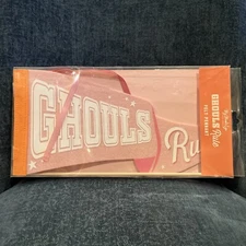 My Mind’s Eye Halloween Ghouls Rule Pink Felt Pennant NEW