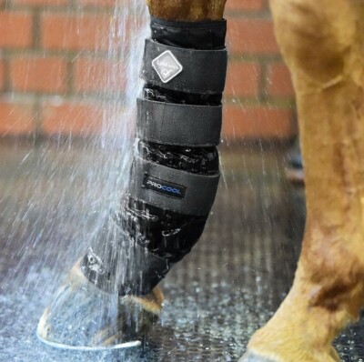 LeMieux ProCool Kaltwassertherapie Kompressionsstiefel reduzieren Heilung Sehnenschwellung