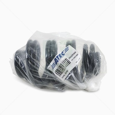 Fahrwerksfeder Hinterachse ATEC Germany 110-190017865