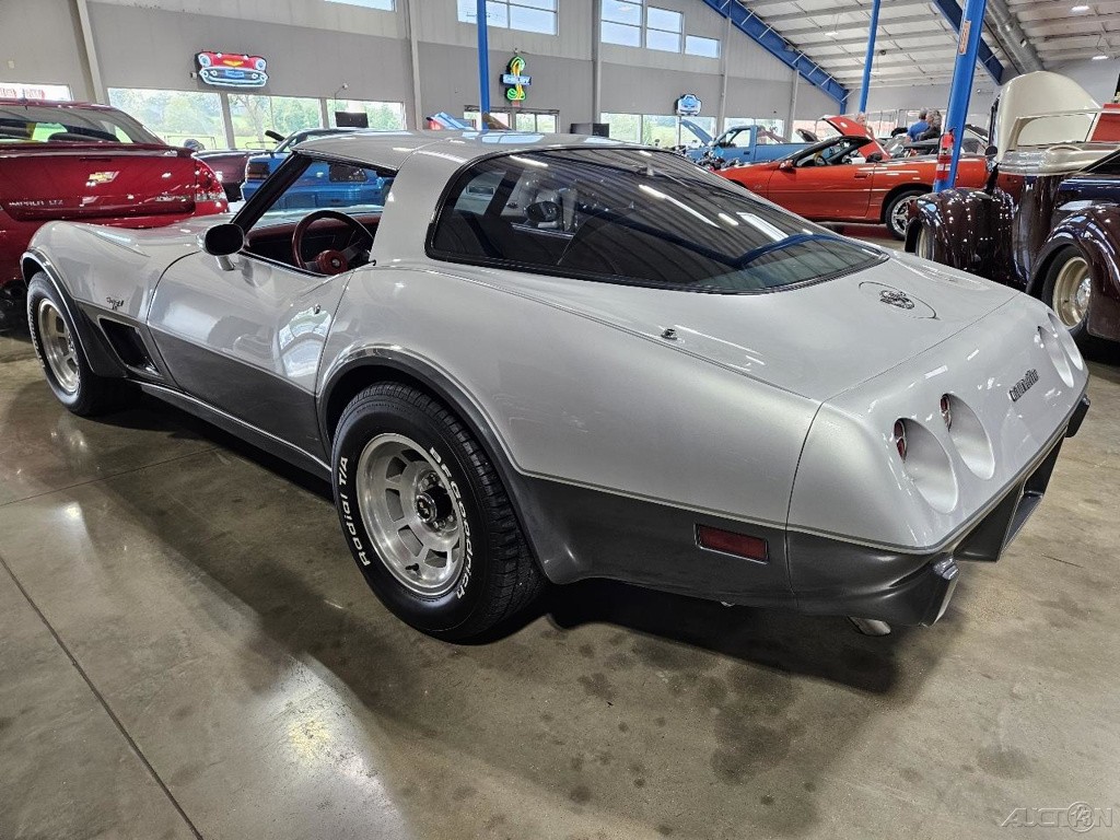 1978 Silver Chevrolet Corvette   | C3 Corvette Photo 6