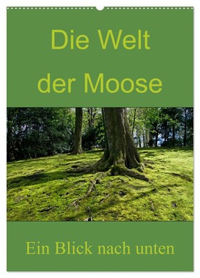 Dominik Lewald | Die Welt der Moose. Ein Blick nach unten (Wandkalender 2026...