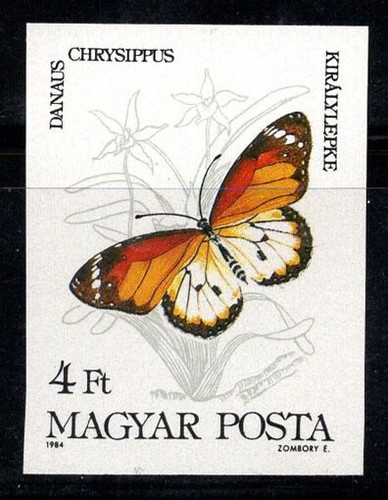 Ungarn 1984 Mi. 3685 B Neu ** 100% 4 Ft, Schmetterling Crisippo