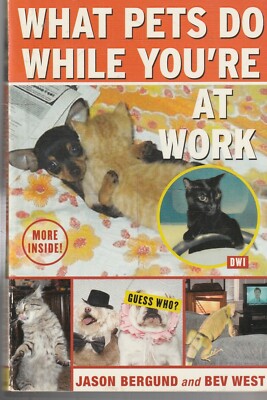ANIMALS ,WHAT PETS DO WHILE YOU'RE AT WORK by JASON BERGUND & BEV WEST