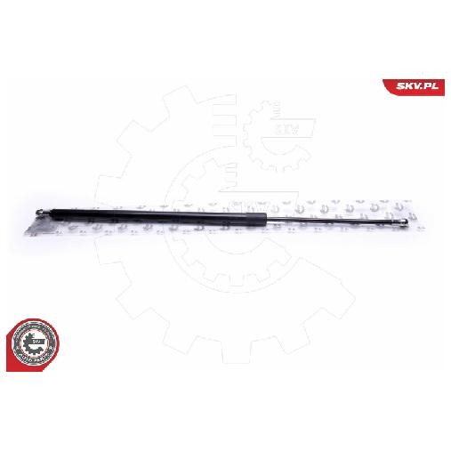 2X Gasfeder Kofferraum Hinten FüR Peugeot 806 221 1.9 2.0 2.1 94 Bis 02 Esen Neu-image