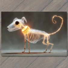 Art Print Transparent Dog Skeleton Glowing Collar Ethereal Light Fantasy Creatur