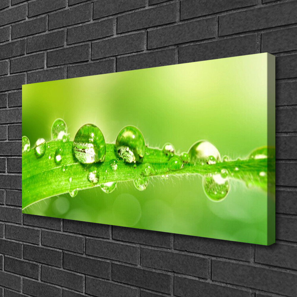 Image sur toile florale de qualité galerie impression d'art moderne 100x50cm