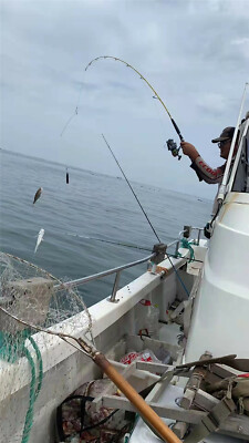 Offshore boat pole bass 40# and 60# sea fishing pole special fishing pole | eBay Offshore boat pole bass 40# and 60# sea fishing pole special fishing pole | eBay