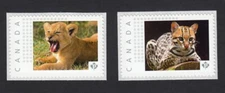 lq. LION CUB, OCELOT  Picture Postage Pair of Stamps MNH Canada 2015 [p15/7ct2]
