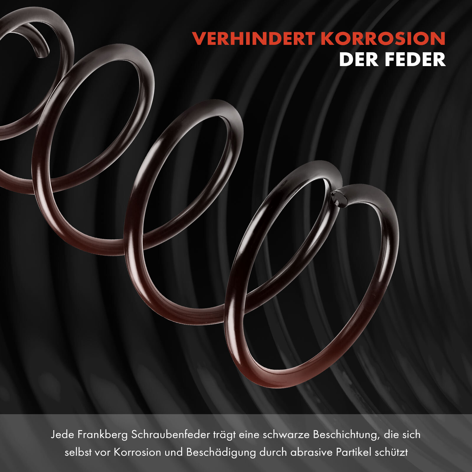 Bild 3 von 8
