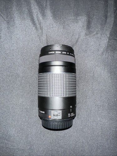 Canon EF 75-300 mm f/4-5,6 IS USM