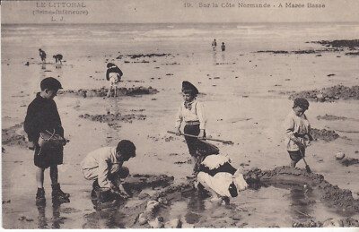 CPA SUR LA COTE NORMANDE A EBBE