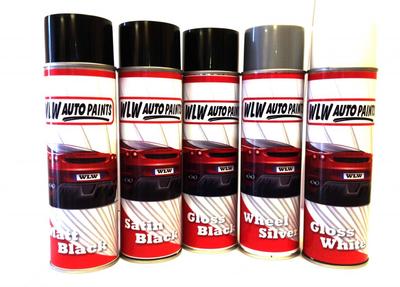 Aerosol Sprühfarbe Auto Karosserietemperatur Stoßstange Farbe Projekt Auto Van, 