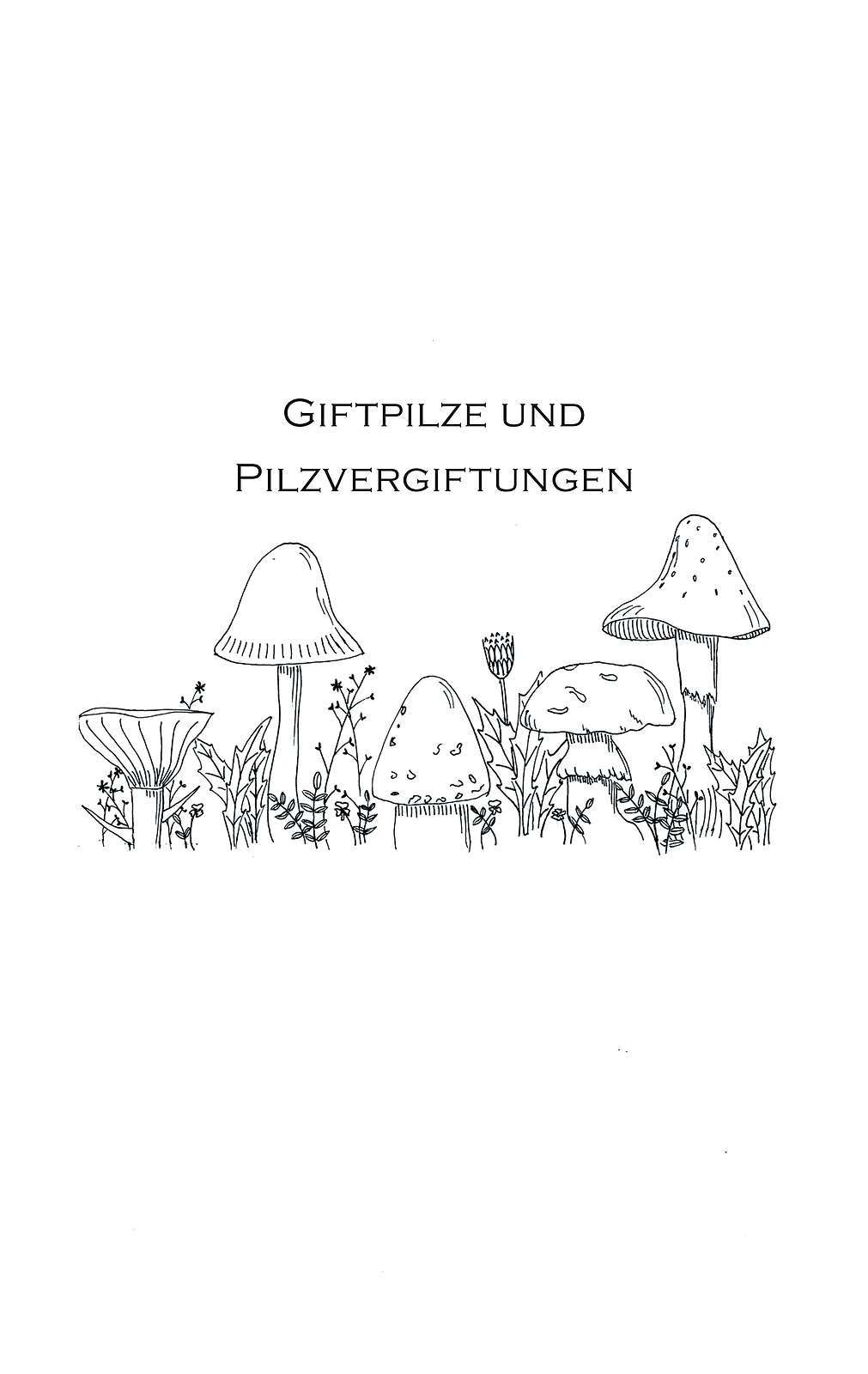 Thumbnail - Pilzkochbuch Von 1917 Emil Herrmann