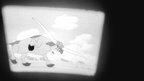 Them's My Boys - 16mm film black & white sound - Bucky and Pepito cartoon - Picture 9 of 13