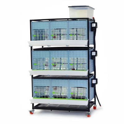 Chick Brooder - 3 Layer H: 15''