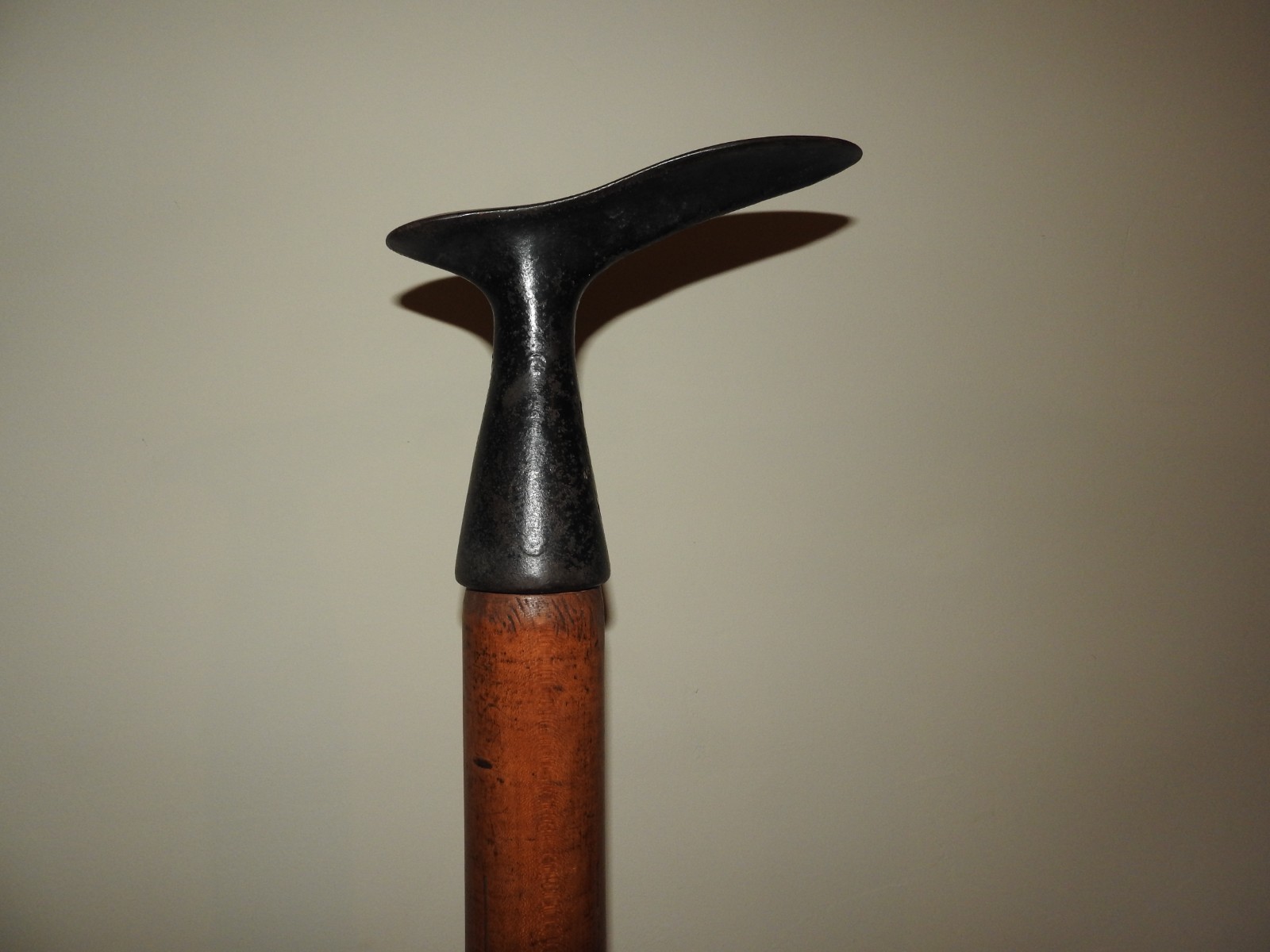 Picture 19 of 22
