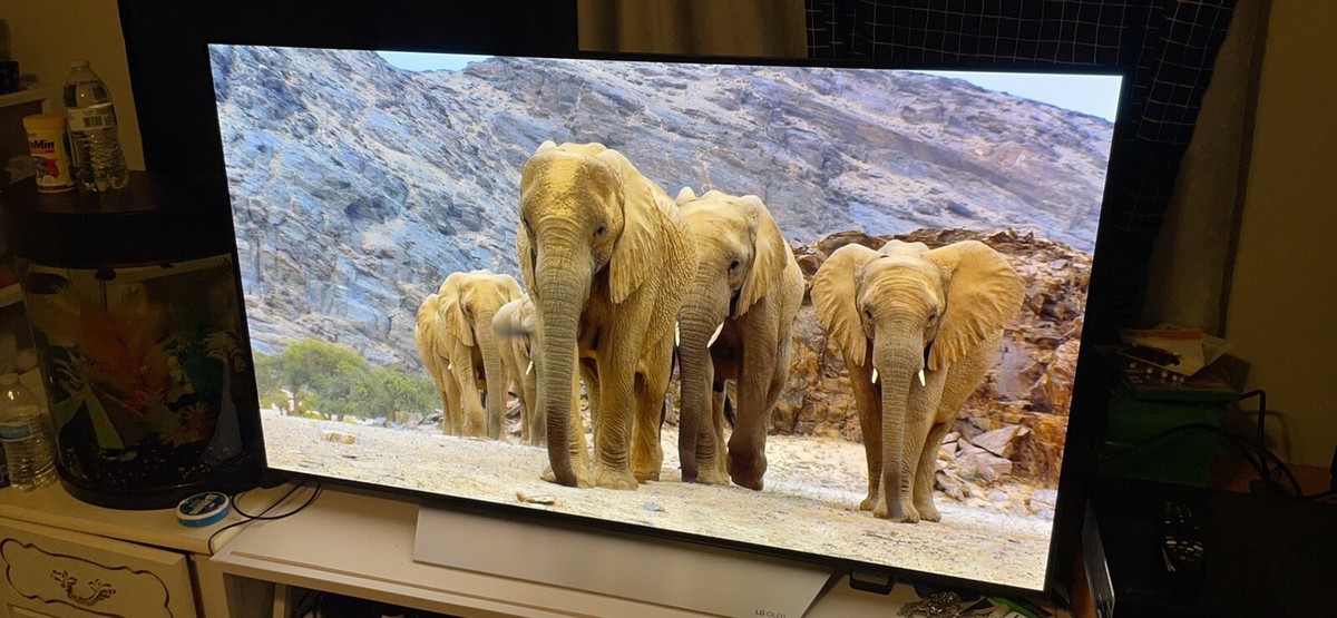 LG OLED 55 inch TV Model-(OLED55C7P) | eBay