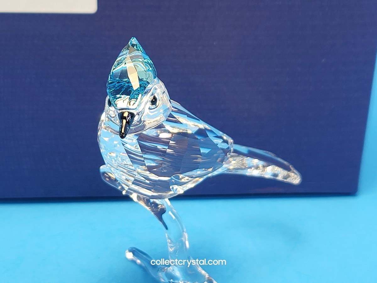 Swarovski Blue Jay Bird MIB #5705326 or # 5470647 | eBay