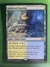 MTG ECL #265 Hallowed Fountain Lorwyn Eclipsed Regular