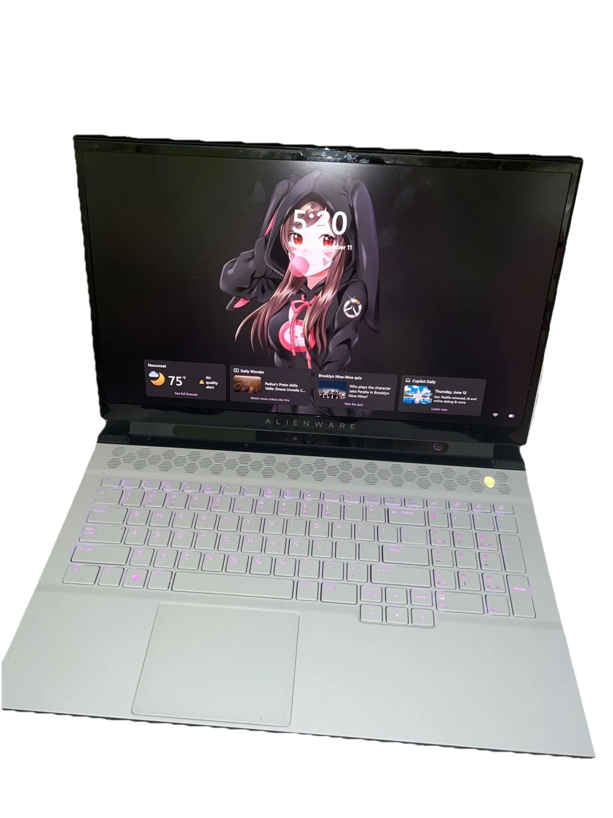 Alienware m17 R3 i9-10980HK 32GB RAM 1.5TB SSD RTX 2080 Super 17.3” 4K ...
