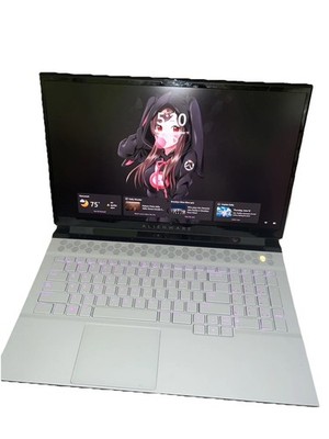 Alienware m17 R3 i9-10980HK 32GB RAM 1.5TB SSD RTX 2080 Super 17.3  4K UHD