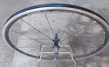 Ruota posteriore 28" bici corsa copertoncino, marcata BIANCHI XL carbon fusion