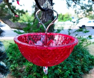 Ant Moat Ant Trap Ant Prevention Naturally Stops Ants