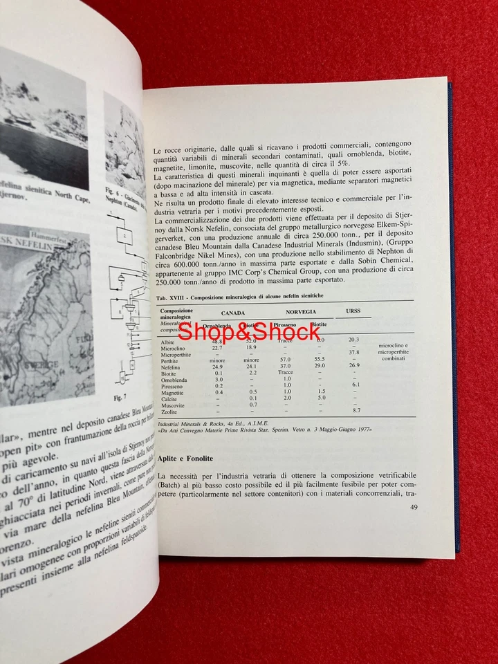 L'INDUSTRIA DEL VETRO PER CONTENITORI E TABLEWARE Scaglioni Faenza Editrice 1988 - Immagine 4 di 4