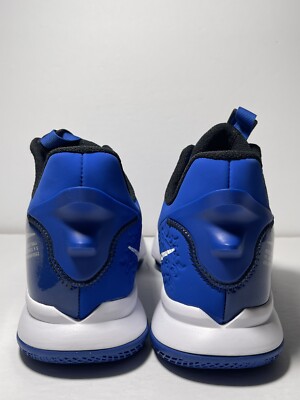 Nike LeBron Witness V 5 Game Royal CQ9380-400 Basketball  display picture 1
