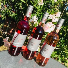 Rosé Wein Paket 6 Fl. - fruchtig & frisch - Frühling im Glas - Probierpaket