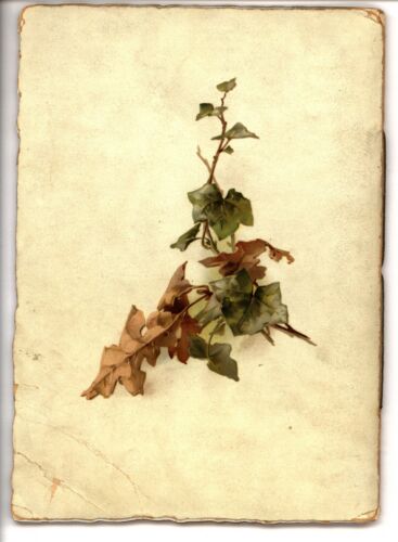 ELEGÍA GRIS, o ELEGÍA EN UN CEMENTERIO RURAL, FOLLETO R. TUCK, HAROLD COPPING - Imagen 8 de 8