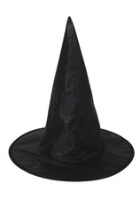 Black Witch Hat 38cm Adult Children Kids Halloween Witches Fancy Dress Costume