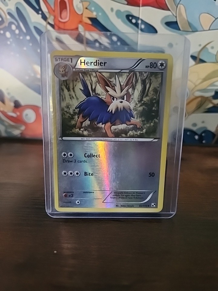 Pokémon TCG Herdier Black and White 82/114 Reverse Holo Uncommon LP