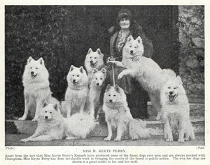 Samoyed "Family Perry" - 1934 Vintage Dog Art "Photo" Print - CUSTOM MATTED