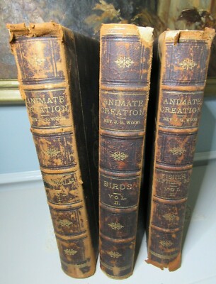 1885 Complete 3 Vol. ANIMATE CREATION JG Wood - Mammalia Birds Fishes & Reptiles