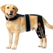 Dog Knee Brace for Torn ACL Hind Leg with 4 Metal Stabilizers XL