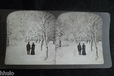 STA947 USA Snow Park Tree Snowy Landscape Photo 1900 STEREO Stereoview